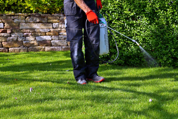 Best Pest Exclusion Services  in Socorro, TX